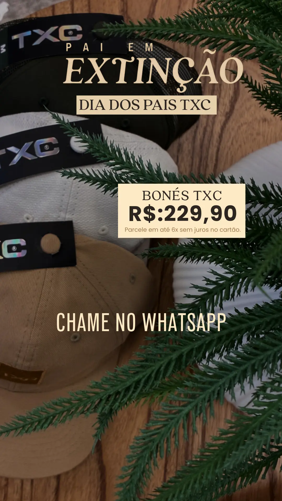 Bonés TXC